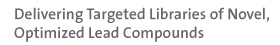 Delivering Targeted Libraries of Novel, Optimized Lead Compounds